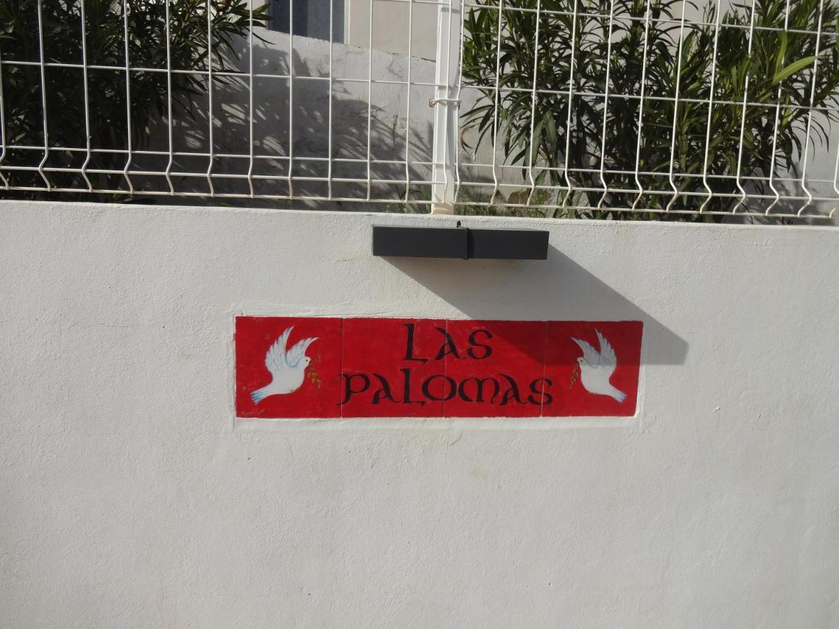 Las Palomas, Appartement 3 Chambres Avec Piscine Turis Exterior foto